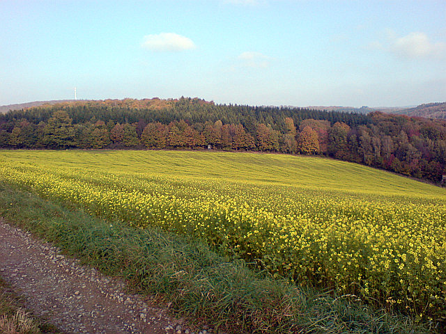 Herbstidylle St Wendel-Werchweiler
