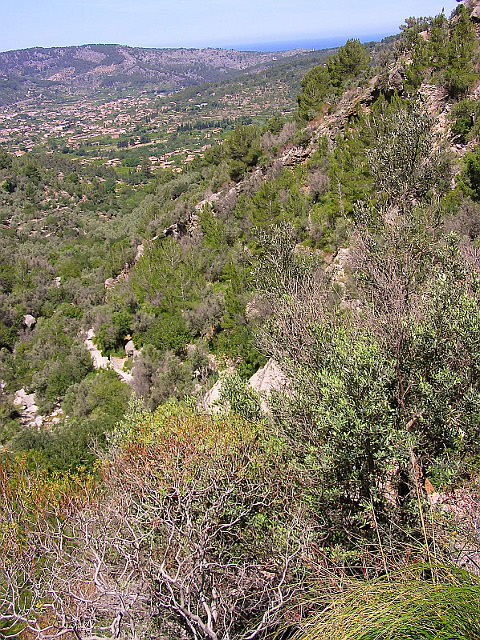 Sóller liegt uns vor den Füßen