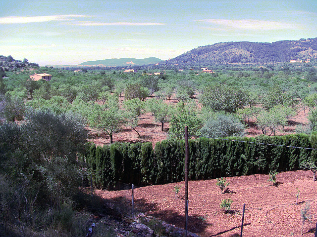 Eisenbahn Sóller – Palma