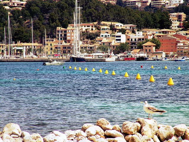 Hafen von Port de Sóller