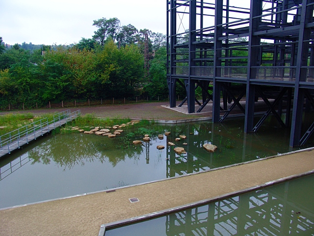 Simsen- und Binsenbecken