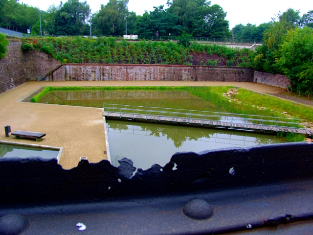 Simsen- und Binsenbecken