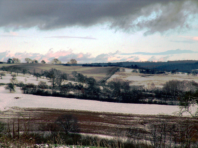 Am Tierheim Niederlinxweiler
