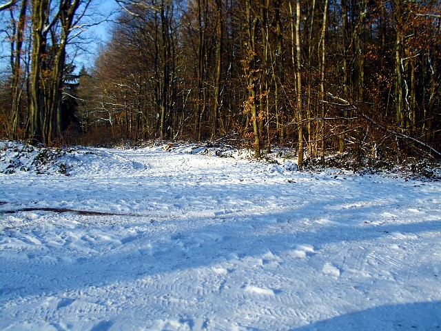 Schneeweg