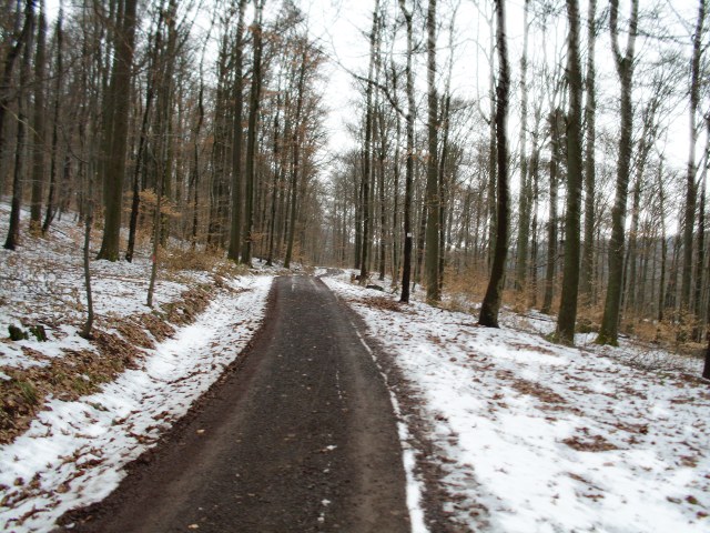 Waldweg